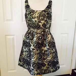 BB Dakota dress